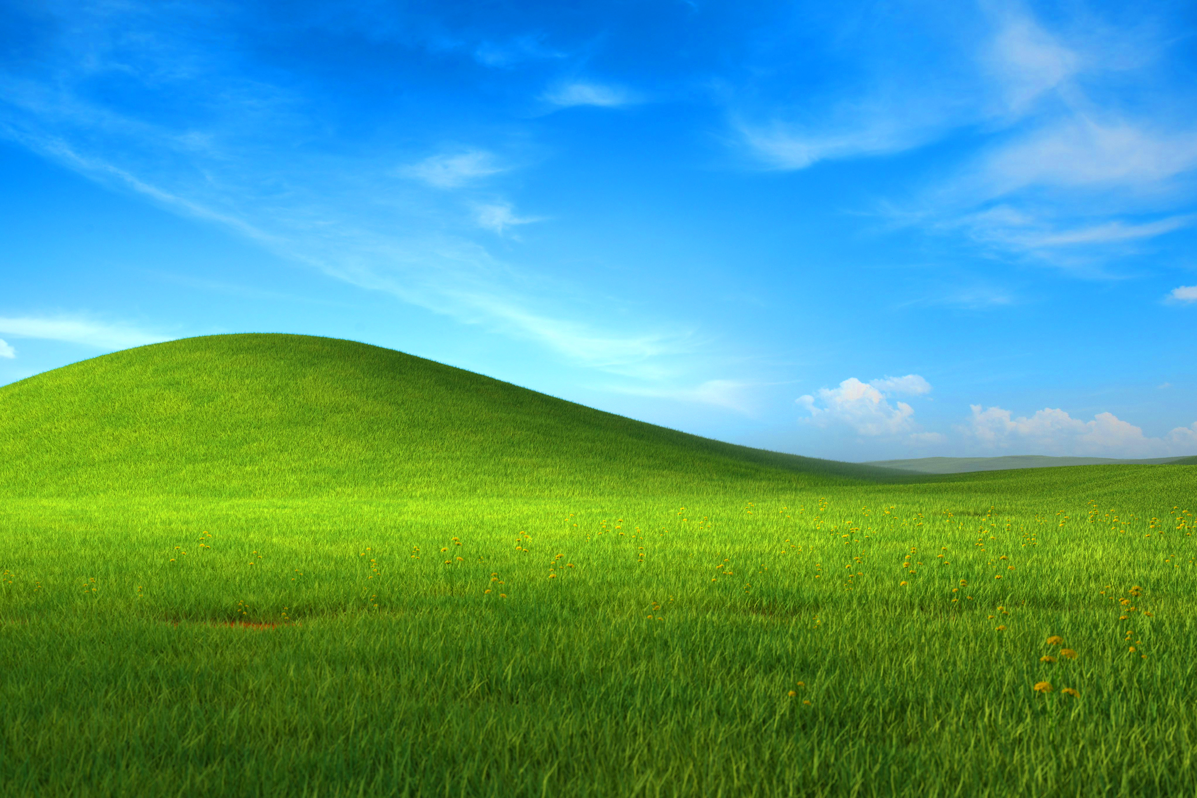 Windows XP